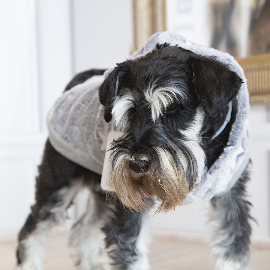 Outech Fleece Camisola Cinza com Estampa de Estrelas para c&atilde;es, , large Imagem n&uacute;mero 5